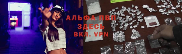 стафф Корсаков