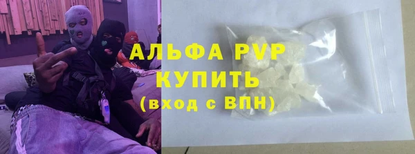 стафф Корсаков