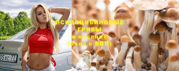 прущий лед Козельск