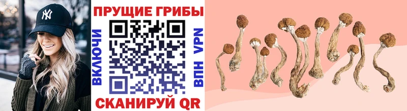 Галлюциногенные грибы мухоморы  Купить где  Карабулак 