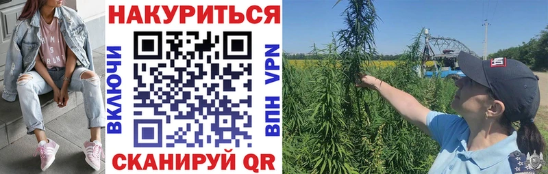 Купить  Карабулак  Канабис LSD WEED 